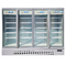 Fan Cooling Glass Door Freezer Merchandiser With Dixell Digital Thermostat